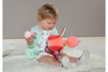 Anaïs et ses bébés 