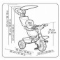 Tricycle Baby Plus Music Rose Tricycle Baby Plus Music Rose