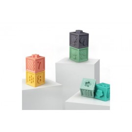 Mes Premiers Cubes Educatifs