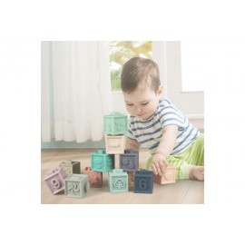 Mes Premiers Cubes Educatifs