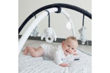 Tapis d'éveil - Martin et ses copains