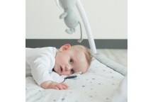 Tapis d'éveil - Martin et ses copains