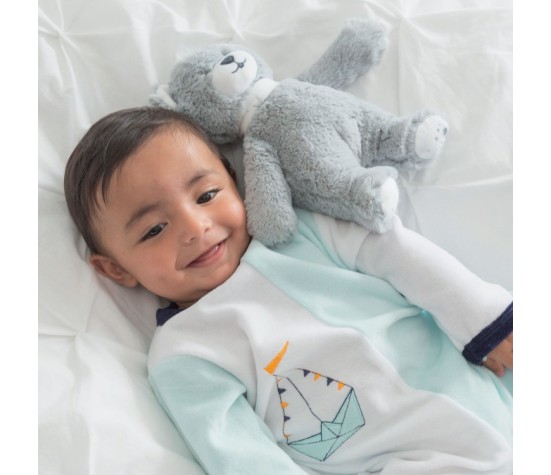 Peluche musicale Ours - Martin et ses copains
