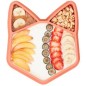 Assiette en Silicone Isy - Renard Assiette en Silicone Isy - Renard