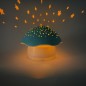 Projecteur D'étoile Champignon Bleu
