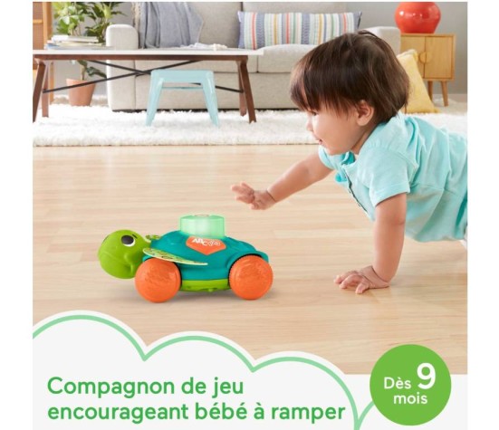 Manu La Tortue