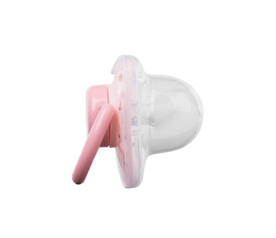 Lot de 2 Sucettes Savanna Rose 6-18 mois