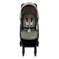 Poussette Teeny 3D Canne Gray Mist