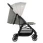 Poussette Teeny 3D Canne Gray Mist