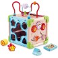 Cube Nature Interactif Multi-activités Cube Nature Interactif Multi-activités