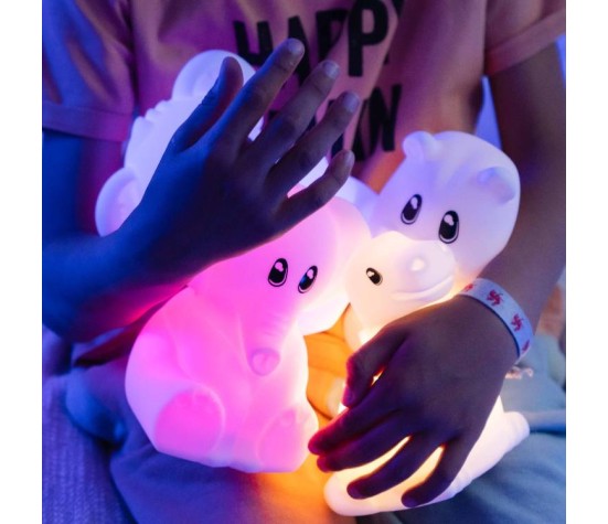 Veilleuse Koala