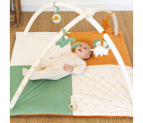 Tapis d'éveil Diplododo