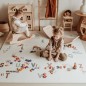 Tapis Puzzle Alphabet Eevaa Tapis Puzzle Alphabet Eevaa
