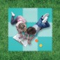 Tapis De SOL Xxl Extérieur Tapis De SOL Xxl Extérieur