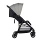 Poussette Teeny 3D Canne Grey
