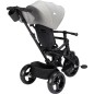 Tricycle Windy Tinded Gray Tricycle Windy Tinded Gray