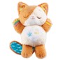 Mon Chaton Douce Nuit Mon Chaton Douce Nuit
