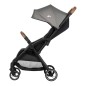 Poussette Duo Sunlite Tinted Gray Poussette Duo Sunlite Tinted Gray