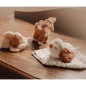 Coffret cadeau - Fairy Garden Coffret cadeau - Fairy Garden