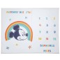 Tapis de Jeu + Anniv Mickey Cool Tapis de Jeu + Anniv Mickey Cool