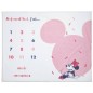 Tapis de Jeu + Anniv Minnie Confettis Tapis de Jeu + Anniv Minnie Confettis