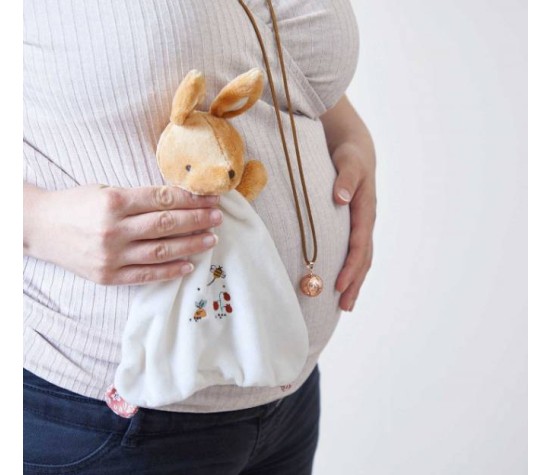 Coffret Doudou Bola Lapin