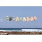 Maillot de Bain Couche Planches de Surf Ecru 3-6 mois Maillot de Bain Couche Planches de Surf Ecru 3-6 mois