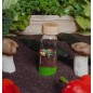 Bouteille Sensorielle Veggies - Petit Boum Bouteille Sensorielle Veggies - Petit Boum