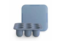 Plateau de Congélation Pour Aliment Bleu