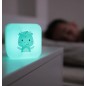 Veilleuse Lumineuse Cube B Drake le Dragon Veilleuse Lumineuse Cube B Drake le Dragon