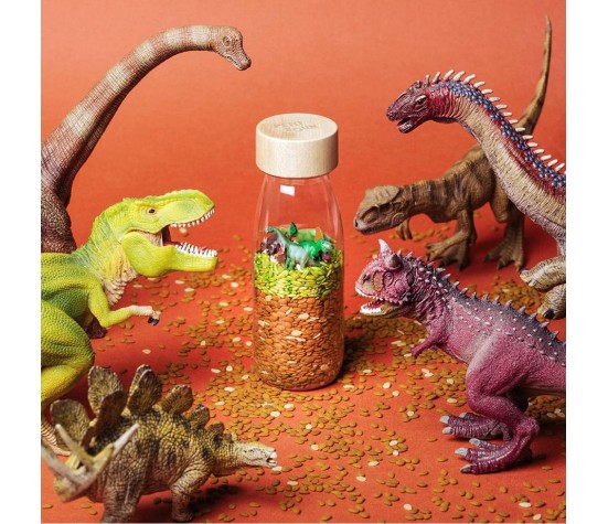 Bouteille Sensorielle Jurassic