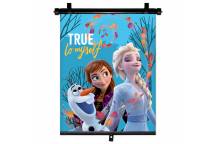 Pare soleil enrouleur Reine des Neiges