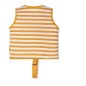 Gilet De Natation 3-6 Ans Lion Gilet De Natation 3-6 Ans Lion