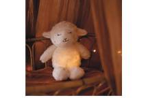 Veilleuse Wooly