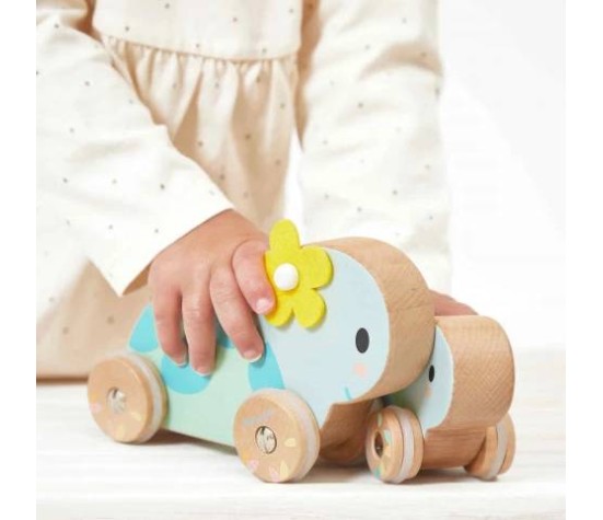Pure-Ensemble de 2 Tortues A Promener