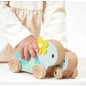 Pure-Ensemble de 2 Tortues A Promener Pure-Ensemble de 2 Tortues A Promener