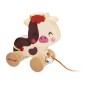 Vache A Promener Ferme Vache A Promener Ferme