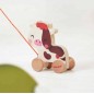 Vache A Promener Ferme Vache A Promener Ferme