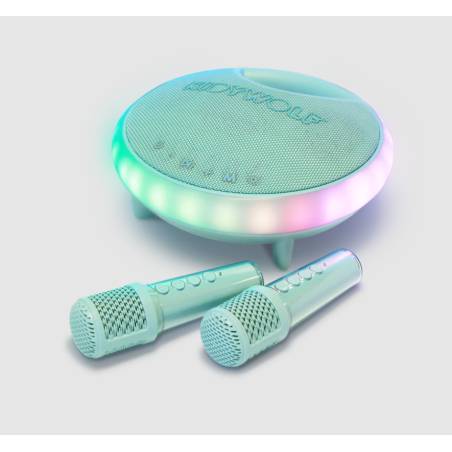 Enceinte Karaoké avec 2...