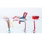 3 Personnages De Bain Ventouse Jeanne 3 Personnages De Bain Ventouse Jeanne