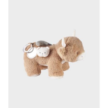 F&O Peluche D activités...