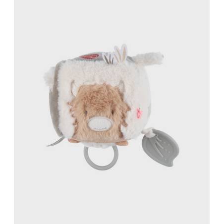 F&O Cube Multi-Activites