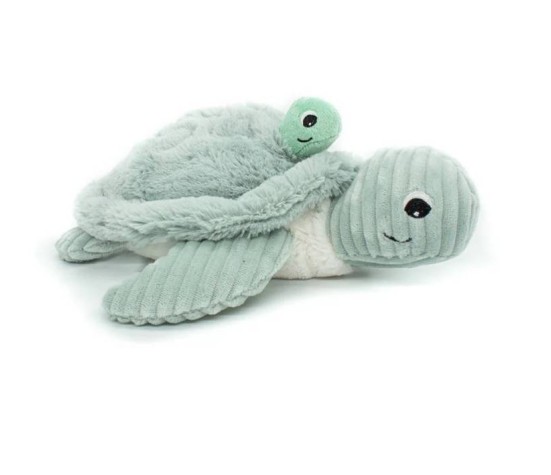 Sauvenour La Tortue Maman Et Bebe Menthe