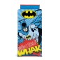 Organisateur en bois 6 paniers de rangement Batman