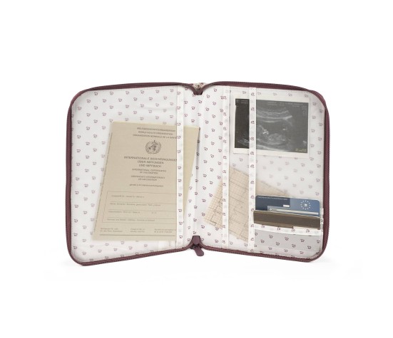 Protege Carnet De Sante Cherry Raye