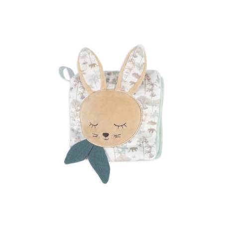 Livre D activite Lapin...