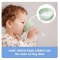 Tasse D apprentissage-Sauge Tasse D apprentissage-Sauge