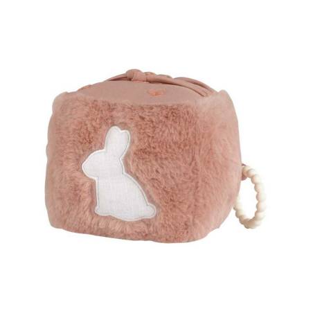 Cube D eveil Terre De...