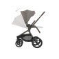 Poussette 2En1 Avec Nacelle Goya Platinum Mocca