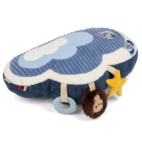 Coussin D activites Jules